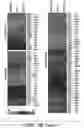 Fig. 16 - Mammalian somatic cell with modified RNA encoding reprogramming factors