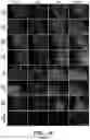 Fig. 22 - Mammalian somatic cell with modified RNA encoding reprogramming factors