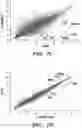 Fig. 33 - Mammalian somatic cell with modified RNA encoding reprogramming factors