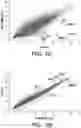 Fig. 35 - Mammalian somatic cell with modified RNA encoding reprogramming factors