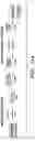 Fig. 45 - Mammalian somatic cell with modified RNA encoding reprogramming factors