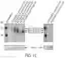 Fig. 03 - GM3 SYNTHASE VECTORS AND USES THEREOF