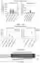 Fig. 16 - GM3 SYNTHASE VECTORS AND USES THEREOF