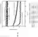 Fig. 11 - POLYMERASE COMPOSITIONS, METHODS OF MAKING AND USING SAME