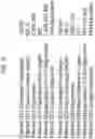 Fig. 17 - POLYMERASE COMPOSITIONS, METHODS OF MAKING AND USING SAME