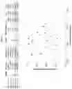 Fig. 04 - Modulating human Cas9-specific host immune response
