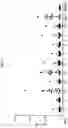 Fig. 05 - Modulating human Cas9-specific host immune response