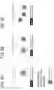 Fig. 07 - Engineering of DNASE enzymes for manufacturing and therapy
