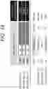 Fig. 20 - Engineering of DNASE enzymes for manufacturing and therapy
