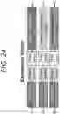 Fig. 25 - Engineering of DNASE enzymes for manufacturing and therapy