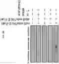 Fig. 22 - MITOCHONDRIAL GENOME EDITING METHODS