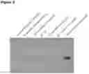 Fig. 04 - MRNA PURIFICATION BY TANGENTIAL FLOW FILTRATION