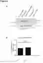 Fig. 06 - MRNA PURIFICATION BY TANGENTIAL FLOW FILTRATION