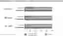 Fig. 01 - DUPLEX-SPECIFIC NUCLEASE DEPLETION FOR PURIFICATION OF NUCLEIC ACID SAMPLES