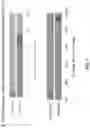 Fig. 04 - DUPLEX-SPECIFIC NUCLEASE DEPLETION FOR PURIFICATION OF NUCLEIC ACID SAMPLES
