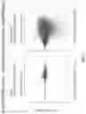 Fig. 08 - DUPLEX-SPECIFIC NUCLEASE DEPLETION FOR PURIFICATION OF NUCLEIC ACID SAMPLES