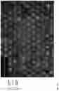 Fig. 04 - METHODS AND SYSTEMS FOR SCREENING USING MICROCAPILLARY ARRAYS