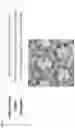 Fig. 28 - METHODS AND SYSTEMS FOR SCREENING USING MICROCAPILLARY ARRAYS