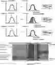 Fig. 01 - METHODS FOR MODIFYING TRANSLATION