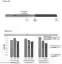 Fig. 11 - METHODS FOR MODIFYING TRANSLATION