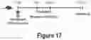 Fig. 18 - Compound for treatment of heart failure