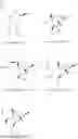 Fig. 239 - OLIGONUCLEOTIDE COMPOSITIONS AND METHODS THEREOF