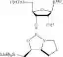 Fig. 262 - OLIGONUCLEOTIDE COMPOSITIONS AND METHODS THEREOF