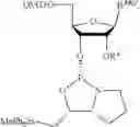 Fig. 263 - OLIGONUCLEOTIDE COMPOSITIONS AND METHODS THEREOF