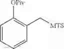 Fig. 299 - OLIGONUCLEOTIDE COMPOSITIONS AND METHODS THEREOF