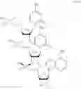 Fig. 378 - OLIGONUCLEOTIDE COMPOSITIONS AND METHODS THEREOF