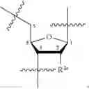 Fig. 397 - OLIGONUCLEOTIDE COMPOSITIONS AND METHODS THEREOF