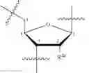 Fig. 406 - OLIGONUCLEOTIDE COMPOSITIONS AND METHODS THEREOF