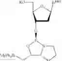 Fig. 421 - OLIGONUCLEOTIDE COMPOSITIONS AND METHODS THEREOF