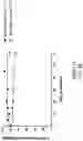 Fig. 60 - OLIGONUCLEOTIDE COMPOSITIONS AND METHODS THEREOF