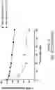 Fig. 67 - OLIGONUCLEOTIDE COMPOSITIONS AND METHODS THEREOF