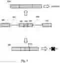 Fig. 02 - METHODS AND COMPOSITIONS FOR MODULATING SPLICING OF ALTERNATIVE INTRONS