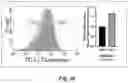 Fig. 09 - METHODS AND COMPOSITIONS FOR MODULATING SPLICING OF ALTERNATIVE INTRONS