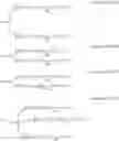 Fig. 12 - POLYNUCLEOTIDE AGENTS TARGETING COMPLEMENT COMPONENT C5 AND METHODS OF USE THEREOF