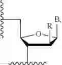 Fig. 06 - NRL EXPRESSION REDUCING OLIGONUCLEOTIDES, COMPOSITIONS CONTAINING THE SAME, AND METHODS OF THEIR USE