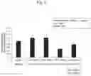 Fig. 10 - NUCLEIC ACID COMPLEX FOR MODULATING IHH EXPRESSION