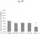Fig. 23 - NUCLEIC ACID COMPLEX FOR MODULATING IHH EXPRESSION