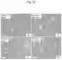 Fig. 25 - NUCLEIC ACID COMPLEX FOR MODULATING IHH EXPRESSION