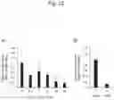 Fig. 27 - NUCLEIC ACID COMPLEX FOR MODULATING IHH EXPRESSION