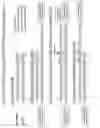 Fig. 02 - Extended dicer substrate agents and methods for the specific inhibition of gene expression
