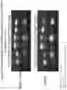 Fig. 13 - Extended dicer substrate agents and methods for the specific inhibition of gene expression