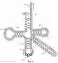 Fig. 04 - SYNTHETIC TRANSFER RNA WITH EXTENDED ANTICODON LOOP