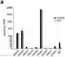 Fig. 01 - DUAL INHIBITION OF PLEXIN-B1 AND PLEXIN-B2