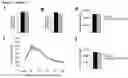 Fig. 04 - DUAL INHIBITION OF PLEXIN-B1 AND PLEXIN-B2