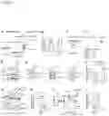 Fig. 08 - Methods of modulating SLC7A11 pre-mRNA transcripts for diseases and conditions associated with expression of SLC7A11