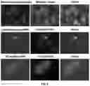Fig. 06 - ENGINEERED MRNA SEQUENCES AND USES THEREOF